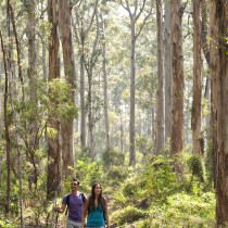 couple-hiking-in-boranup-forest
